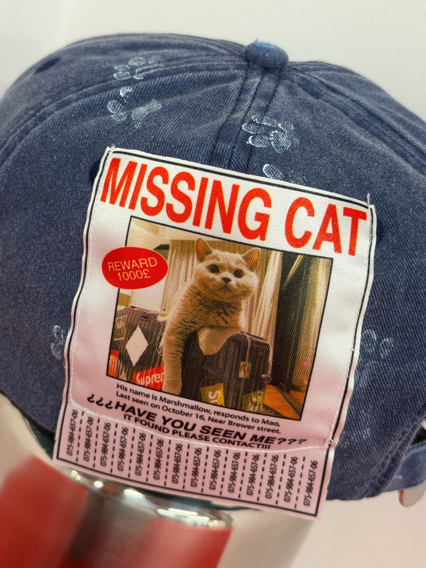 Cap Missing Cat Blue